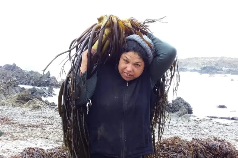 23258 recolectora algas.webp