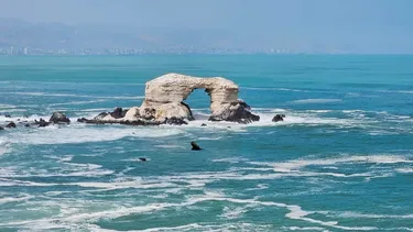 El Desconcierto | 13373 antofagasta.webp