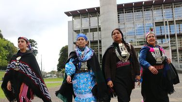 Los mapuche no tenemos justicia, solo los ricos: Machi Francisca Linconao criticó nulidad de sentencia en caso Luchsinger Mackay