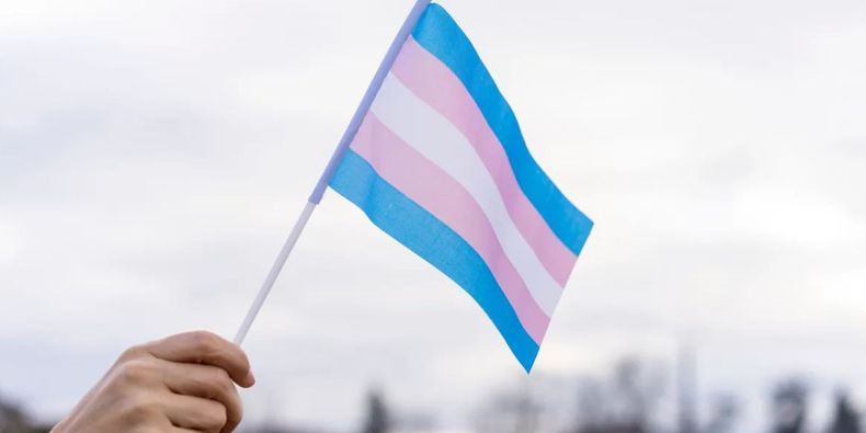Bandera del orgullo trans