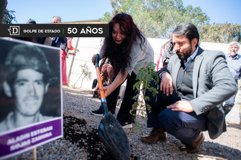 Arboles por la memoria.png