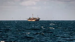 Estudio internacional sobre impacto de pesca ilegal del calamar enciende alertas en Chile: Emplazan a autoridades por medidas