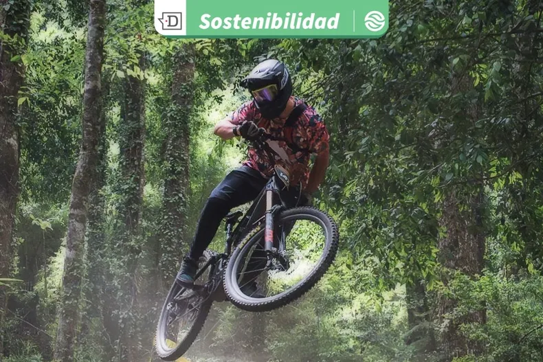 25806 diseno sin titulo 2025 11 14t154909.webp