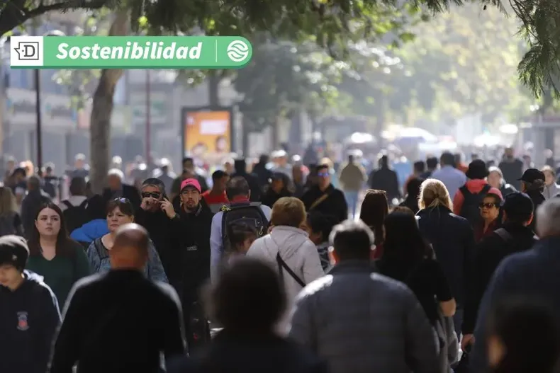 13548 diseno sin titulo 20.webp