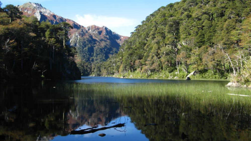 Comunidades Kawésqar: El procedimiento del parque nacional de la Patagonia es fraudulento