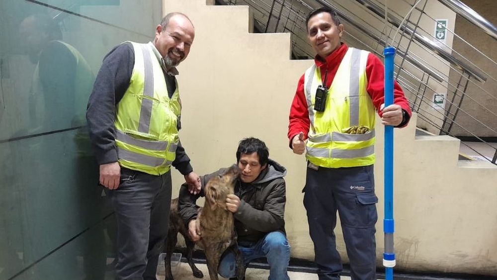 Volvió con su dueño: Rescate de perro genera complicaciones en L2 del Metro pero evita tragedia