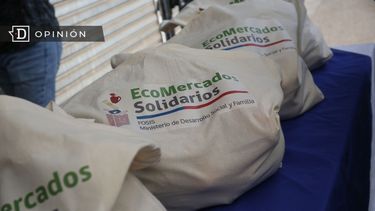 El Desconcierto | 3431 ecomercados solidarios.jpg