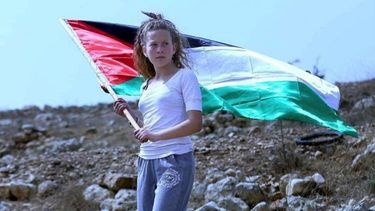 El Desconcierto | tamimi.jpg