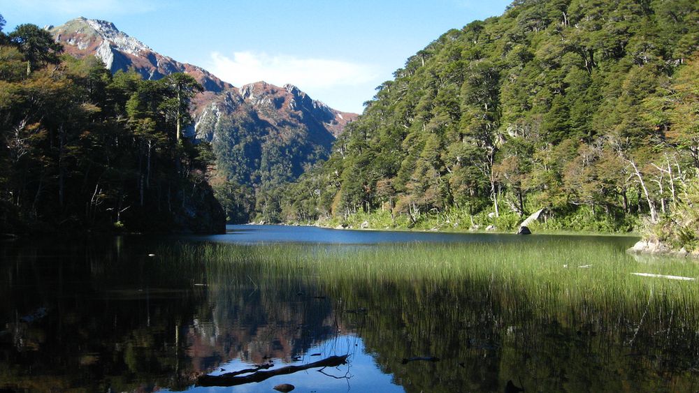 Comunidades Kawésqar denuncian que futuro Parque Nacional Alacalufes no protegerá aguas de la Patagonia