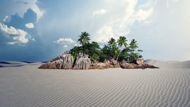 El Desconcierto | oasis desierto.jpg