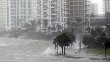 El Desconcierto | miami.jpg