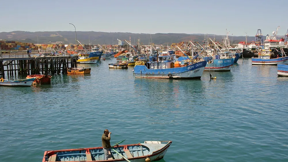 Caleta Lo Rojas de Coronel suspende servicios a pesquera Blumar: Exigen que se aclare lo sucedido con lancha Bruma