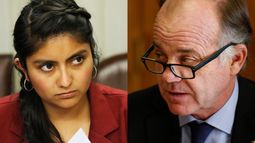 Diputada Rojas interpela a ministro de Agricultura tras declararse pro medioambiente y poseer derechos de agua