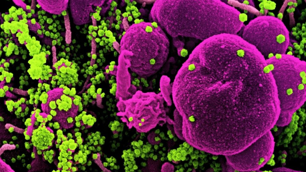 Por tercer día consecutivo, Reino Unido bate el récord de contagios de toda la pandemia