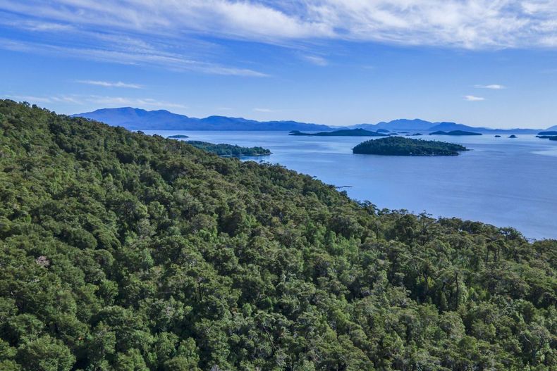 La sostenibilidad y los negocios pueden generar efectos positivos.&nbsp;