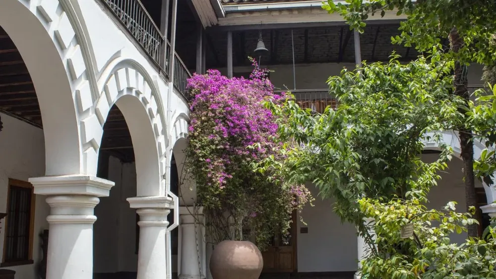 Con libros gratis: Museo San Francisco será sede de lectura colectiva al aire libre en el Día de San Valentín