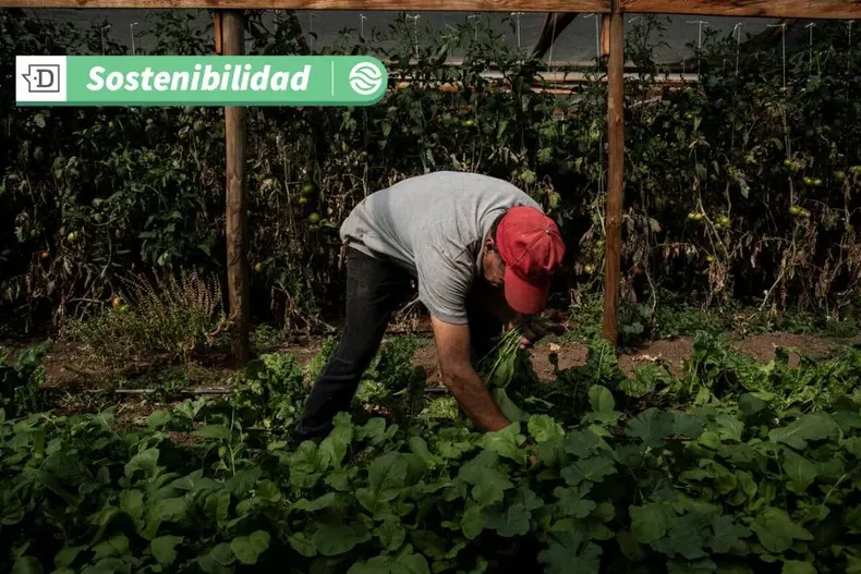 9819 agroeco1.webp