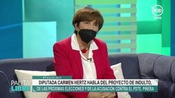 Carmen Hertz en Pauta Libre: Piñera simboliza el abuso de la elite”