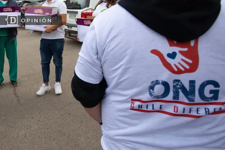 10620 imagen referencial de una ong trabajando.webp