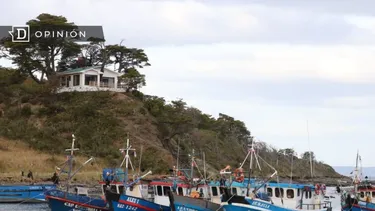 El Desconcierto | 12442 barcos pesqueros en el mar.webp