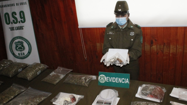 Colombianos que agredieron a carabineros fueron detenidos nuevamente en Puerto Montt