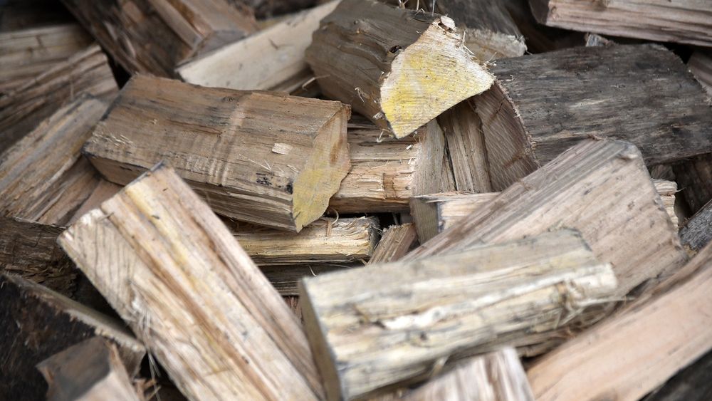 Leña: El combustible olvidado en un país forestal
