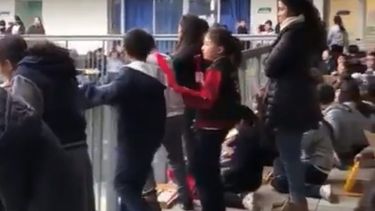 VIDEO| Y no me digas pobre por ir viajando así: Niños de colegio en Puente Alto rindieron emotivo homenaje a Jorge González