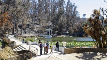 Recuperación del Jardín Botánico de Viña del Mar: Lo Valledor dona 15 toneladas de abono