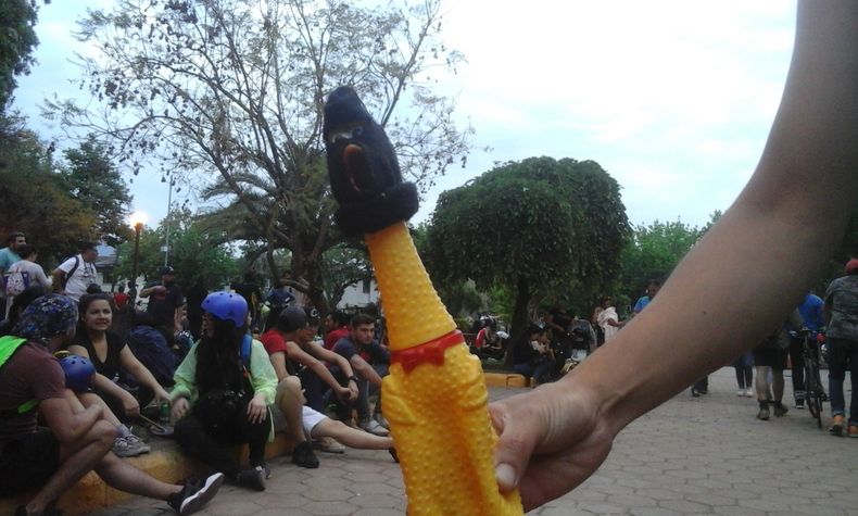 Pelao Carvallo_columna.jpg