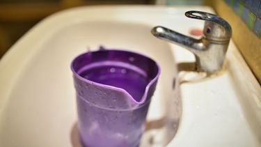 El Desconcierto | Aculeo_sequia_NicoleKramm_fotoreportaje_Desc 39.jpg