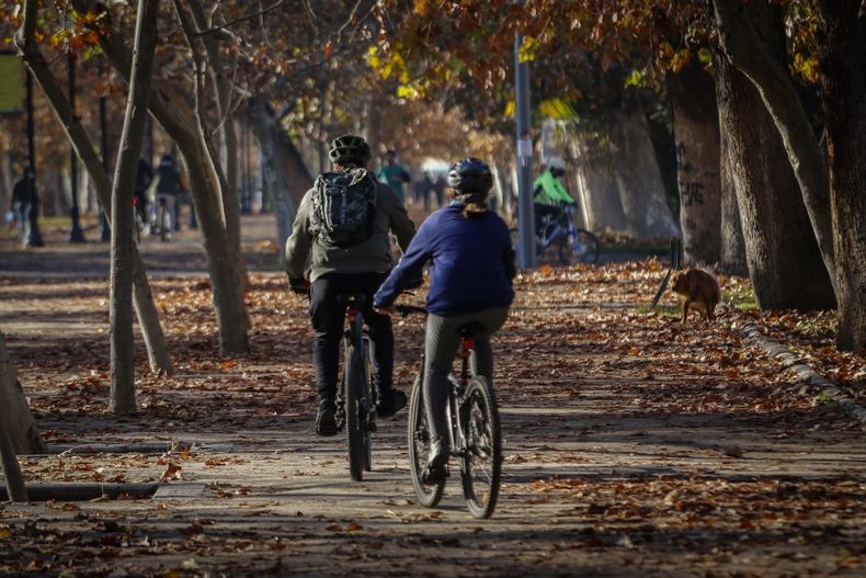 Parque Forestal.jpg