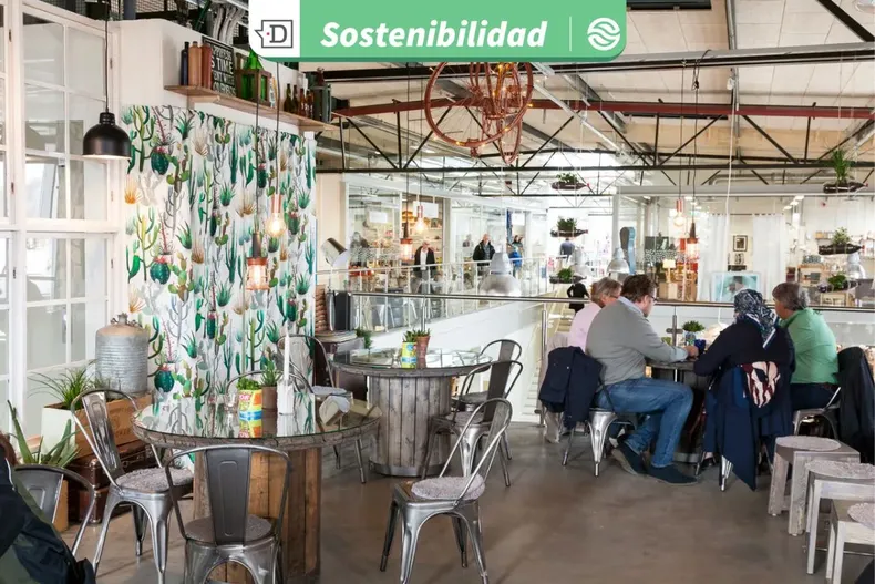 28147 diseno sin titulo 2025 12 31t125947.webp