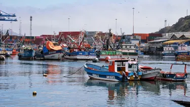 Ante tragedia en Coronel: Pescadores artesanales piden plataforma social que les garantice seguridad