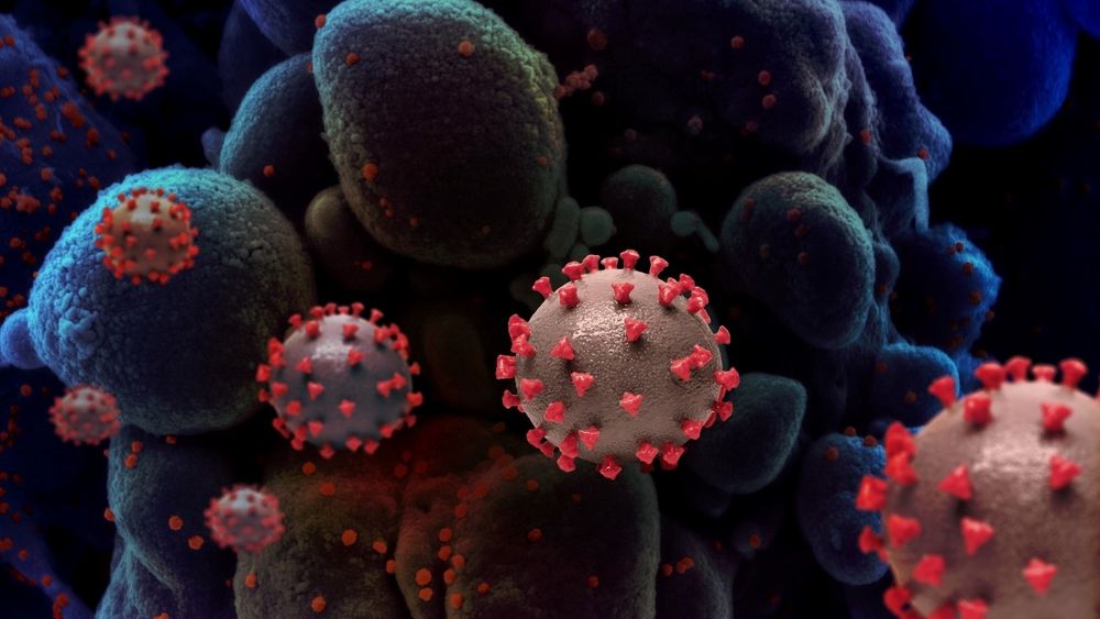 Francia adelanta el toque de queda a las 18.00 horas para frenar el coronavirus