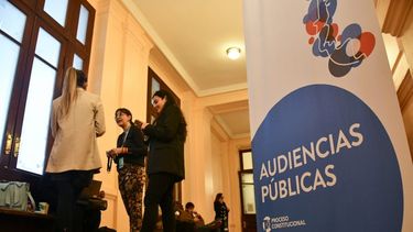 El Desconcierto | Audiencias publicas e1688740772408.jpg