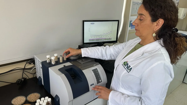 Instituto de Investigaciones Agropecuarias (INIA) exploran herramientas para producción ganadera con foco en sostenibilidad.