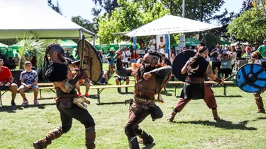 El Desconcierto | 11197 diseno sin titulo 75.webp