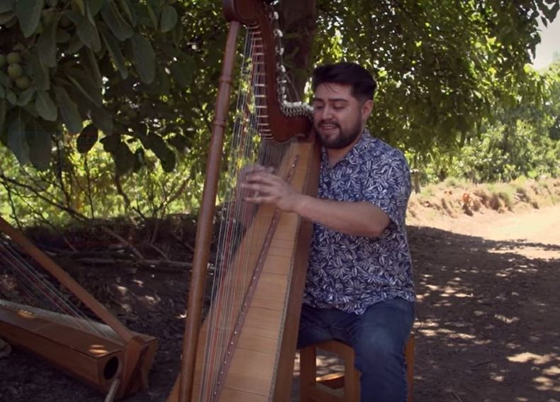 Diego Barrera tocando el arpa.jpg