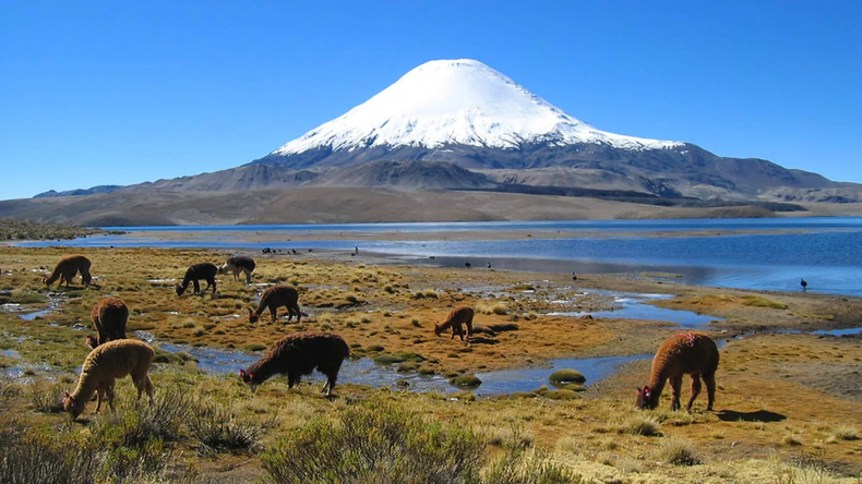Conaf anuncia entrada gratuita a áreas protegidas de Chile. En la foto, el Parque Nacional Lauca (Región de Arica y Parinacota).&nbsp;