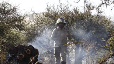 Onemi declara alerta roja por incendio forestal en Melipilla