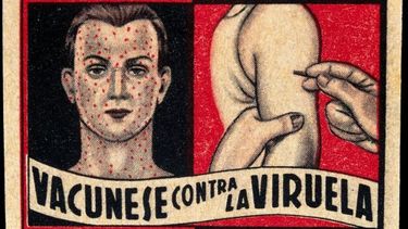 El Desconcierto | Viruela.jpg