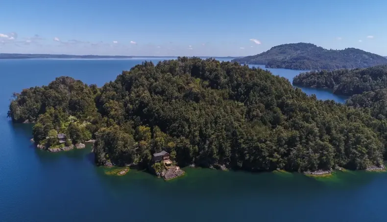 14222 venta isla sur de chile.webp