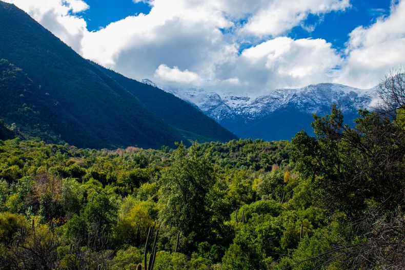 Ganadería tashumante en los Andes centrales.&nbsp;