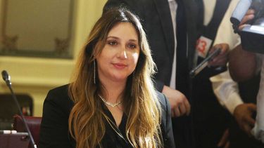 El Desconcierto | Paz Anastasiadis 1.jpg