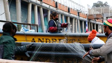De izquierda a derecha respaldan proyecto que busca proteger a la mujer pescadora
