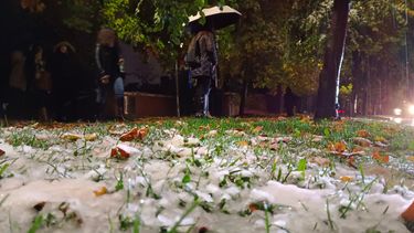 Balance del sistema frontal entre Coquimbo y Los Ríos: Cortes de caminos y aislados