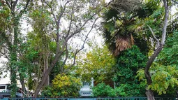 Gobierno no comprará casa de Allende: Transacción infringía 2 artículos de la Constitución