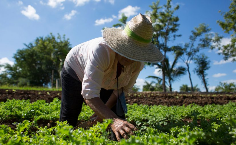Agroecología en Chile como alternativa para enfrentar la crisis climática.&nbsp;