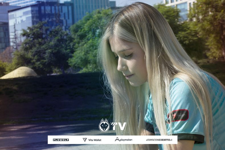 WildTV.jpg