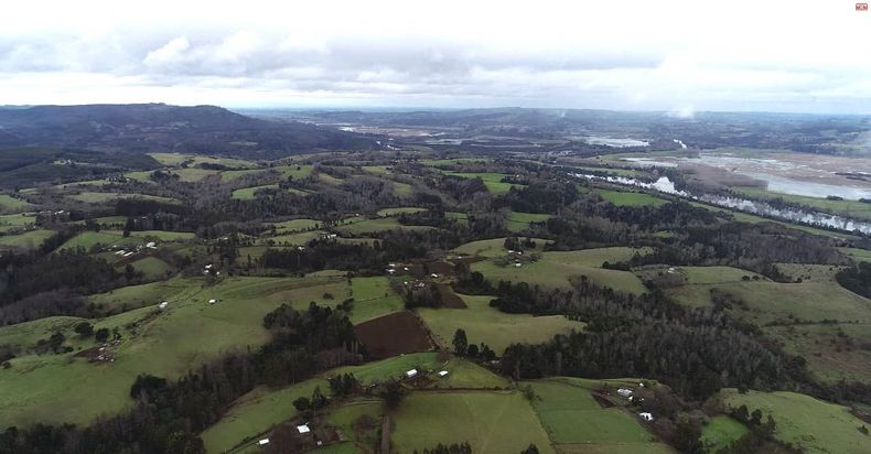 FOTITO MASHUE LIVIANA.jpg